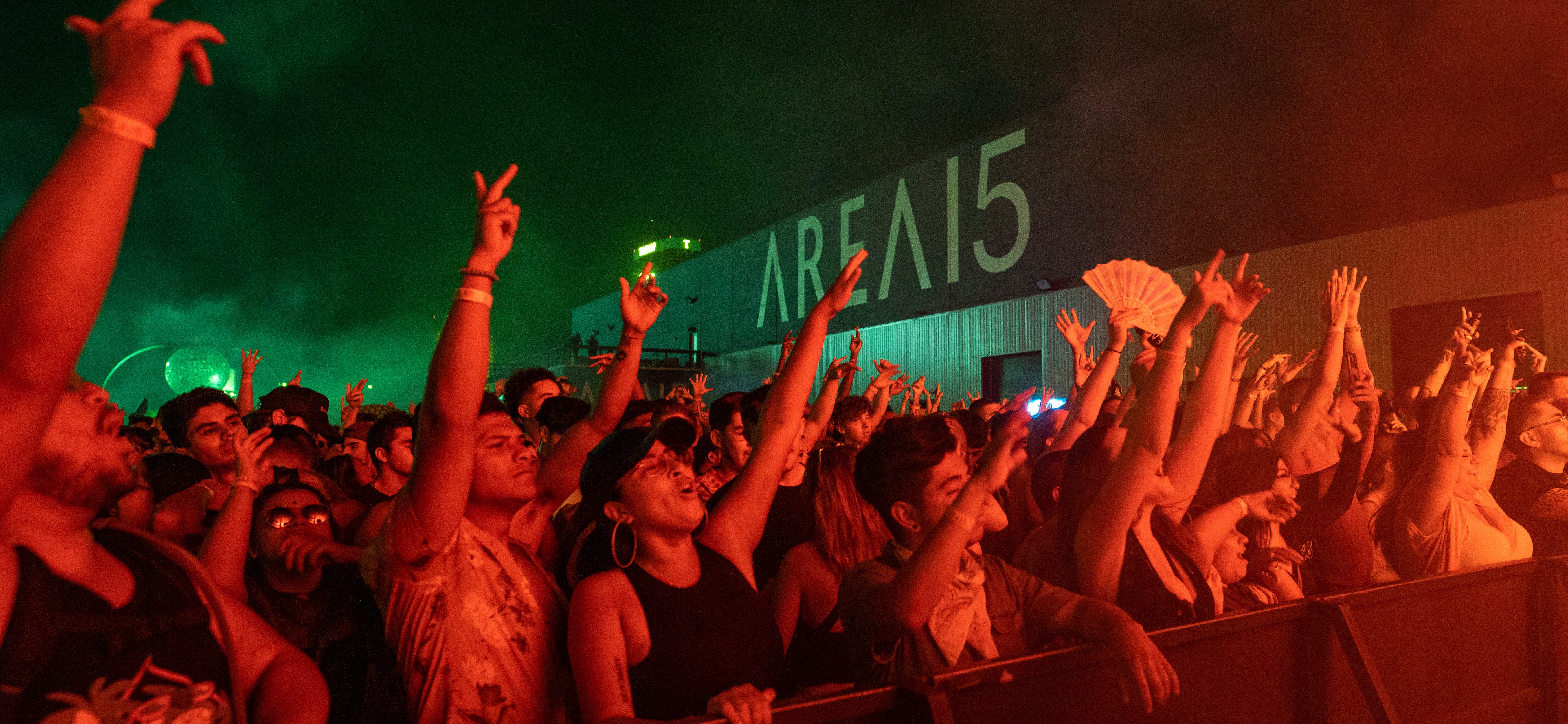 From Collectible To Club Icon: Labubu Rave Rocks AREA15
